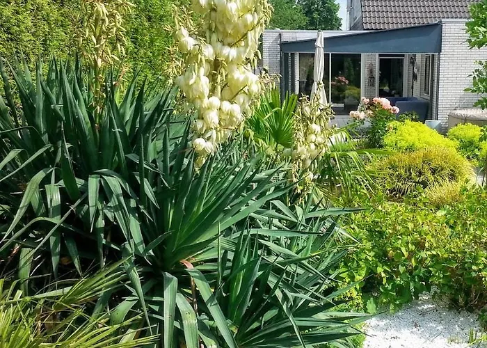Superior Suite Met Whirlpool In Meditarrane Tuin Bij De Waal photo