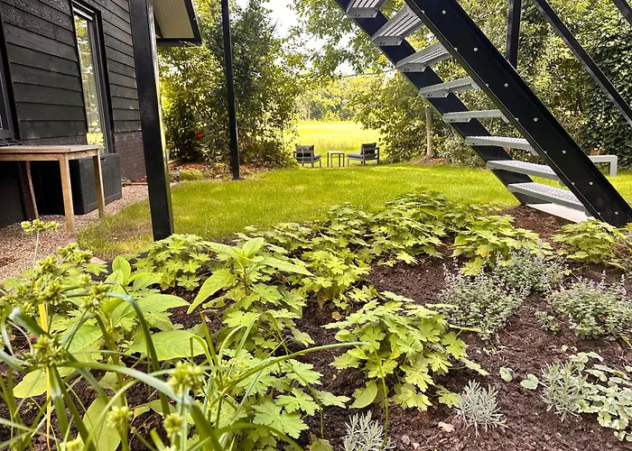 Natuurlijk Op Den Berg Rekken foto