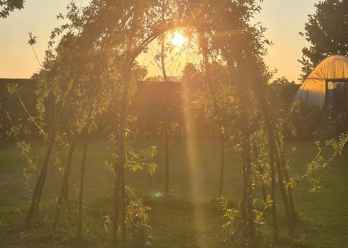 הוילה Oene Tiny House On The Veluwe The Outdoor Life תמונה