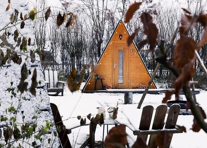 Scandinavisch Boshuisje Haarlo照片