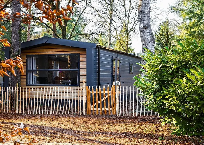 Chalet met 3 slaapkamers in bosrijke omgeving Doornspijk foto